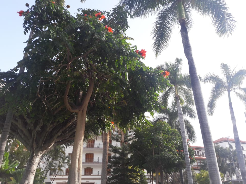 *-* Iberostar Heritage Grand Mencey