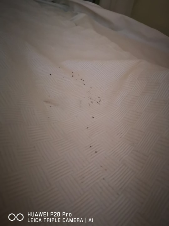 Zimmer Limak Limra Hotel & Resort