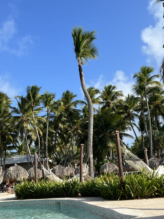 Pool Grand Palladium Punta Cana Resort & Spa