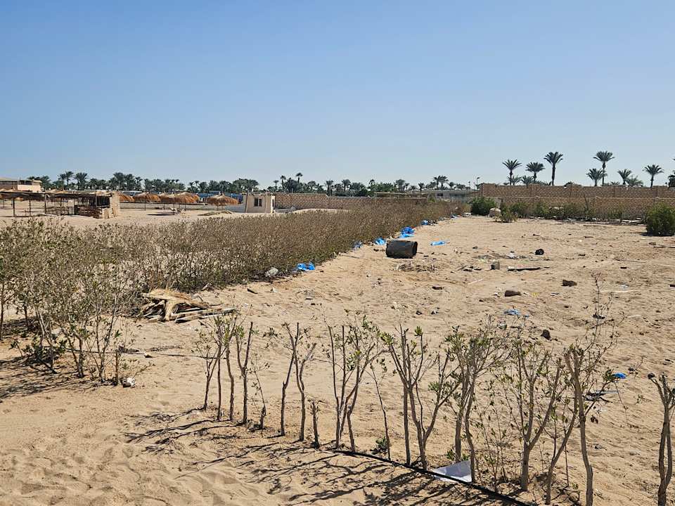 Strand Titanic Royal