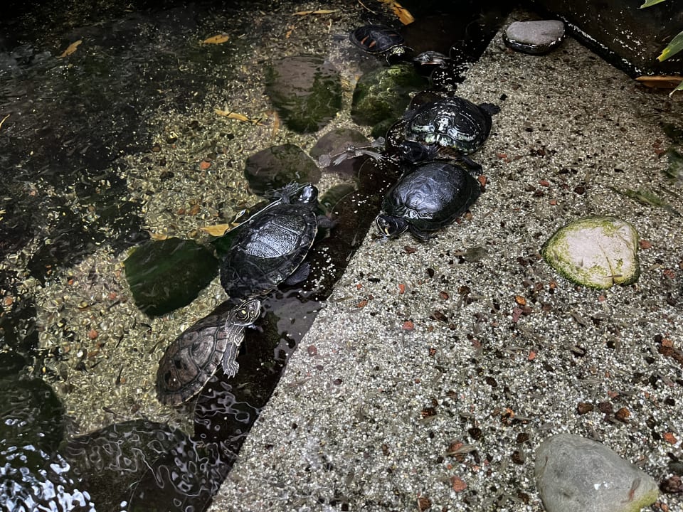 Sonstiges Lopesan Baobab Resort