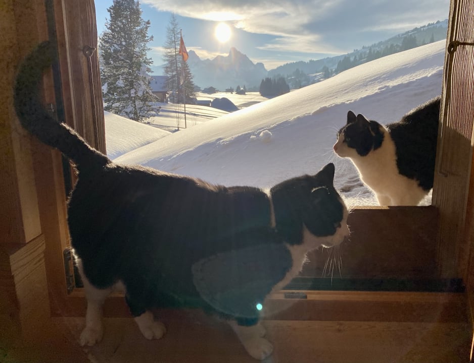 Zimmer MAISON HORNBERG