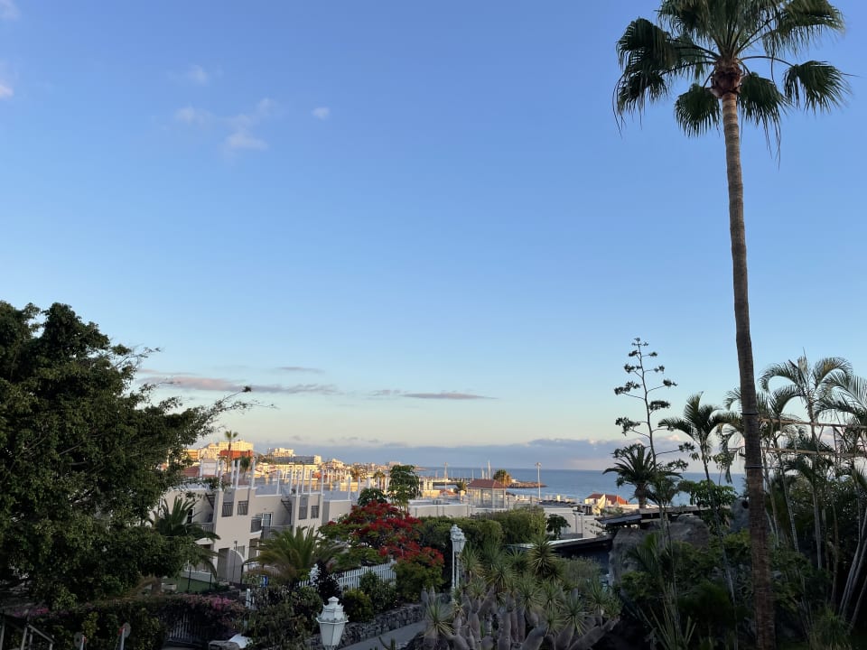 Ausblick Adrián Hoteles Jardines de Nivaria