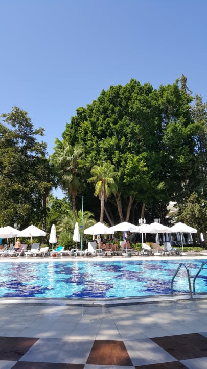 Pool Hotel Botanik Platinum