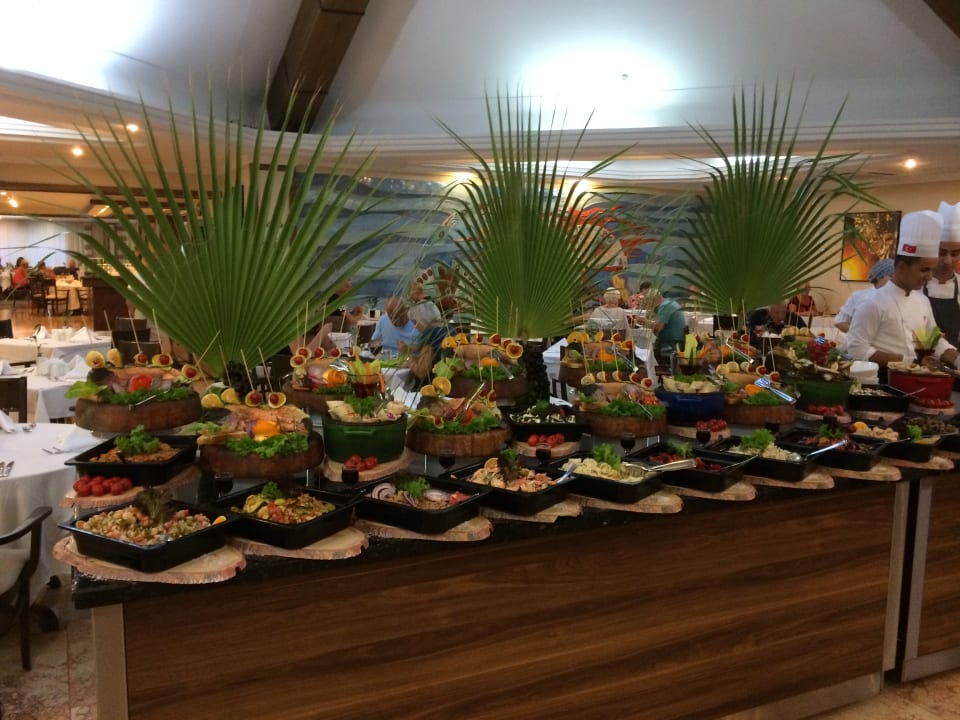 Gastro Papillon Belvil