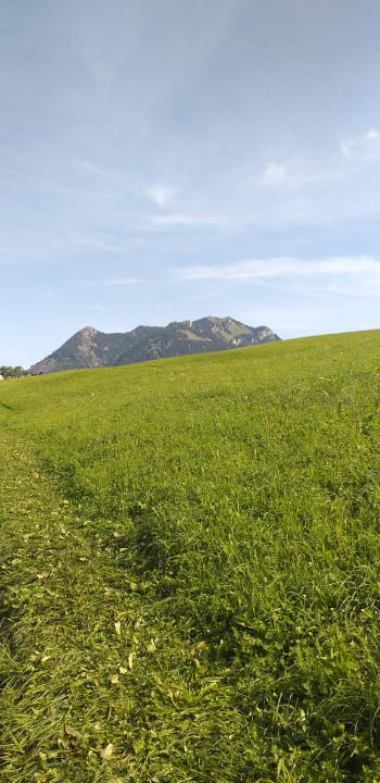 Ausblick Ferienhof Stiefel| Allgäu-Urlaub |
