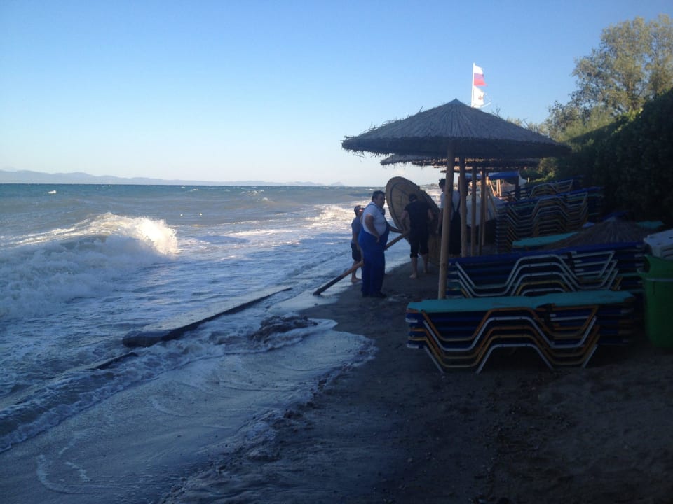 Bei Wellengang wird die erste Reihe Liegeneingehol Domes Noruz Kassandra | Adults-Only