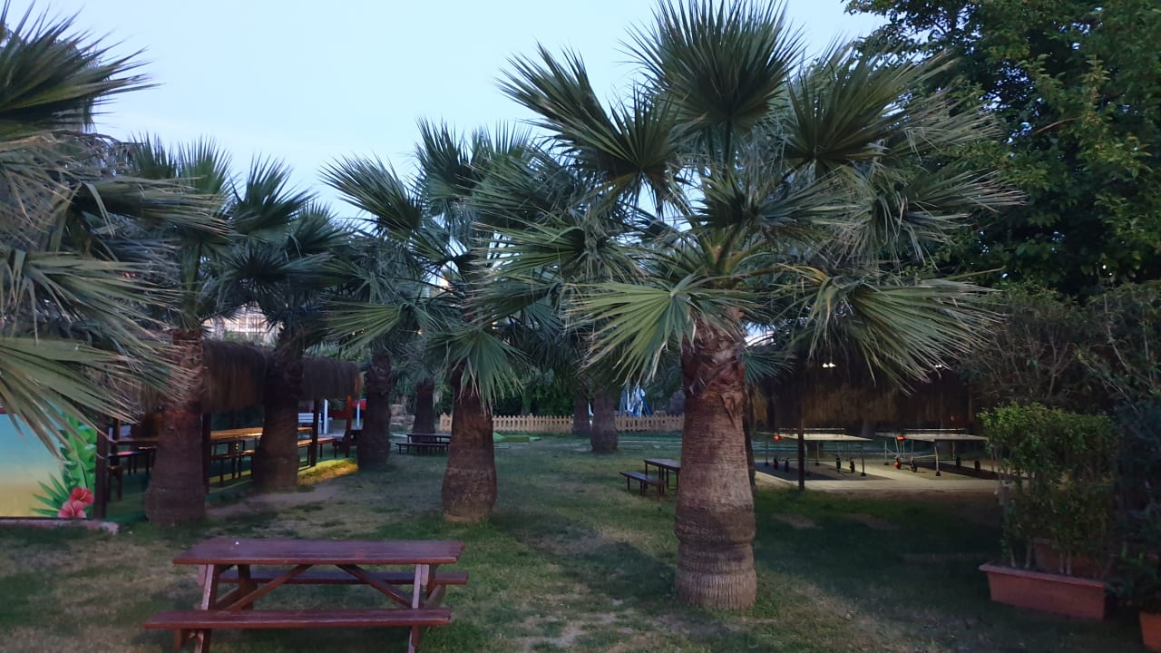Gartenanlage Hane Family Resort