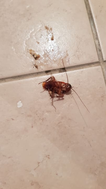 Zimmer Palmyra Aqua Park Kantaoui