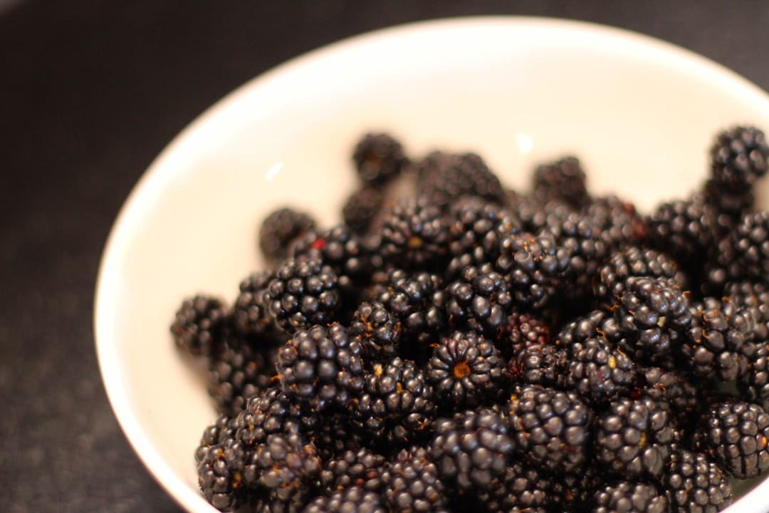 Frisches Obst, direkt vom Strauch Corte Campioli