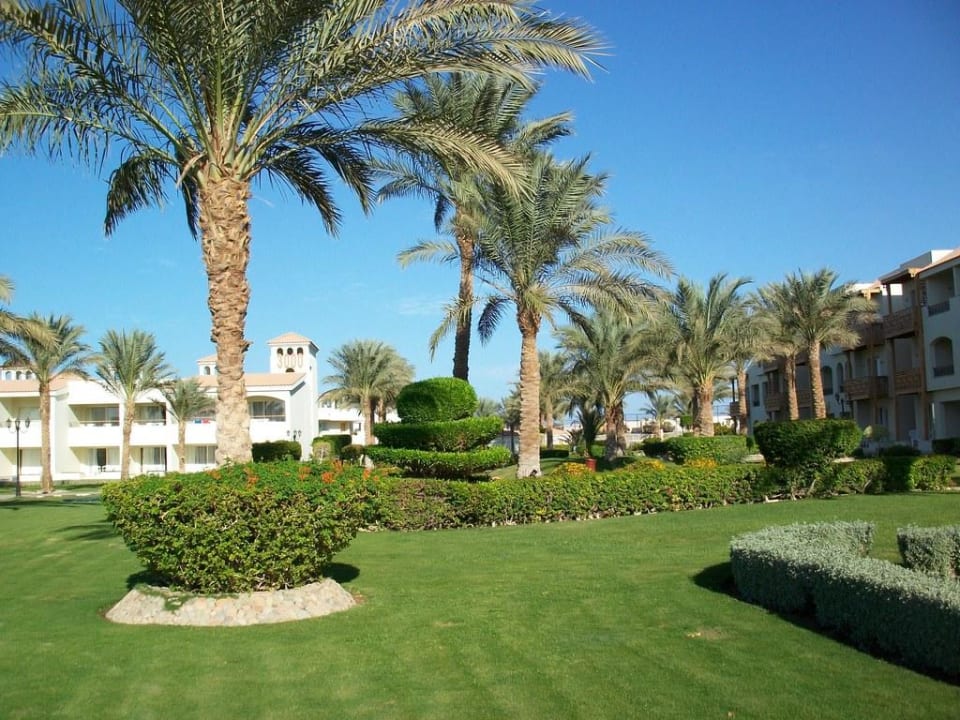 Außenanlage Pickalbatros Dana Beach Resort - Hurghada