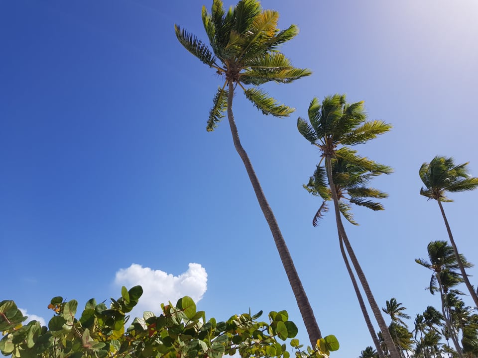 Sonstiges Wyndham Alltra Samana