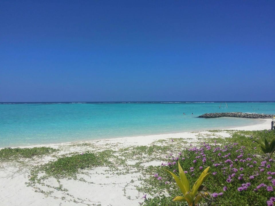Ostseite Summer Island Maldives