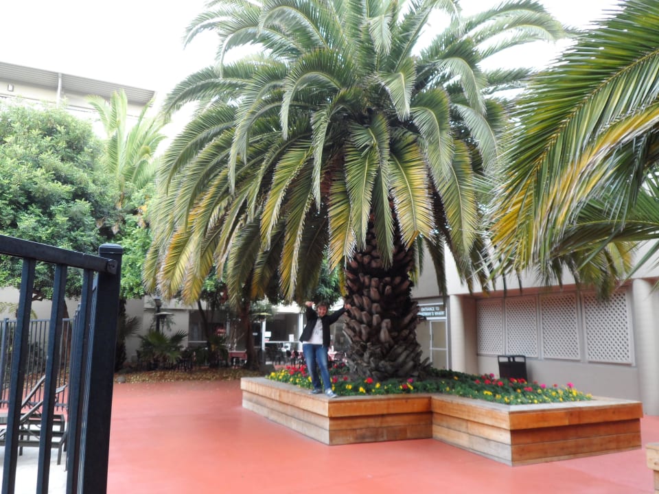 Innenhof Hotel Zephyr San Francisco