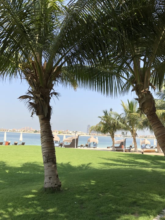 Gartenanlage Rixos The Palm Hotel & Suites