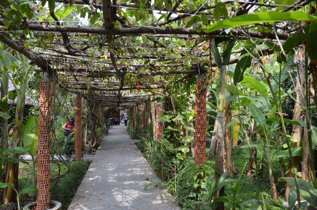 Gepflegte Wege führen durch die Anlage Mekong Lodge