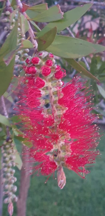 Sonstiges Janna e Sole Resort