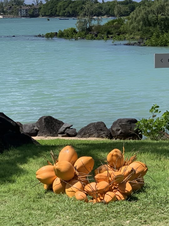 Gartenanlage LUX* Grand Gaube Resort & Villas