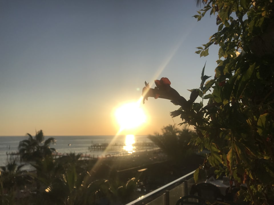Ausblick Club Dizalya