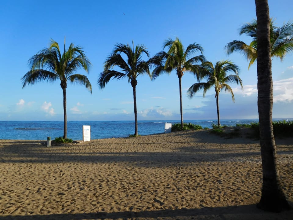 Blick aus dem Restaurant Grand Paradise Playa Dorada