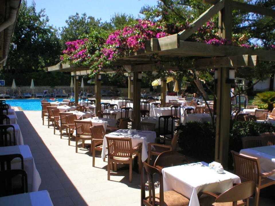 Essen im Freien Trendy Side Beach Hotel - Adults only