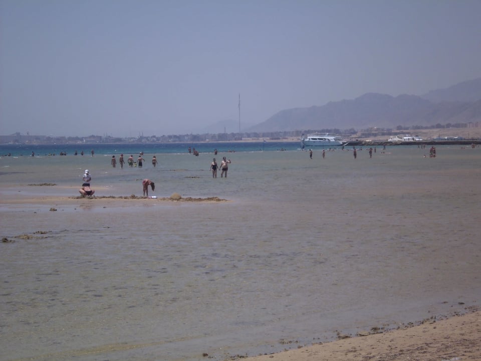 Strand bei Ebbe Shams Prestige Abu Soma-Adults Only