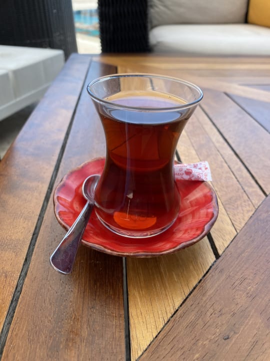 Gastro ROBINSON NOBILIS