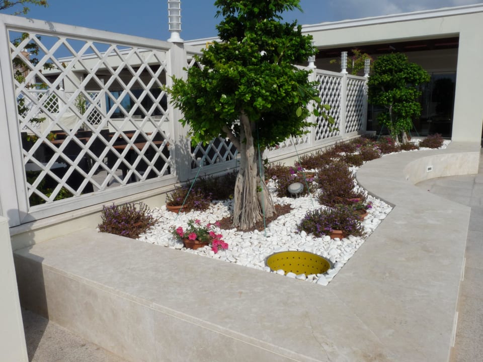 Dachterrasse Paloma Oceana