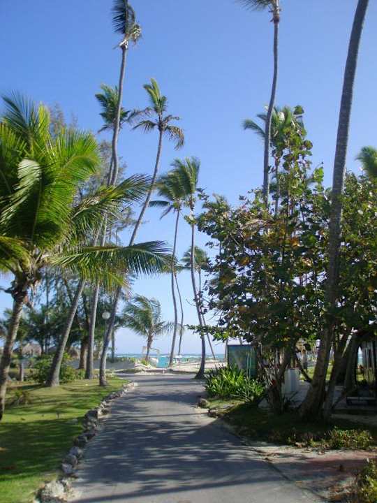 Hotelanlage Grand Palladium Select Bávaro Resort & Spa