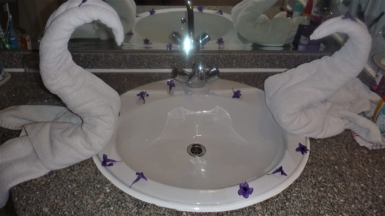 Zimmer Menaville Safaga