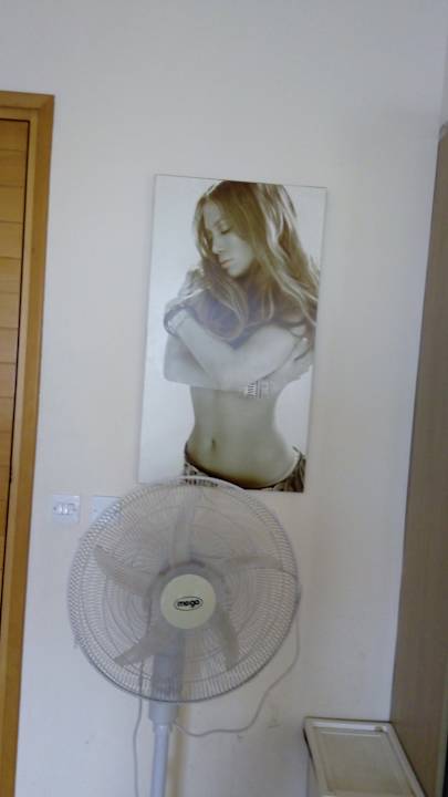 Sonstiges Ledras 231