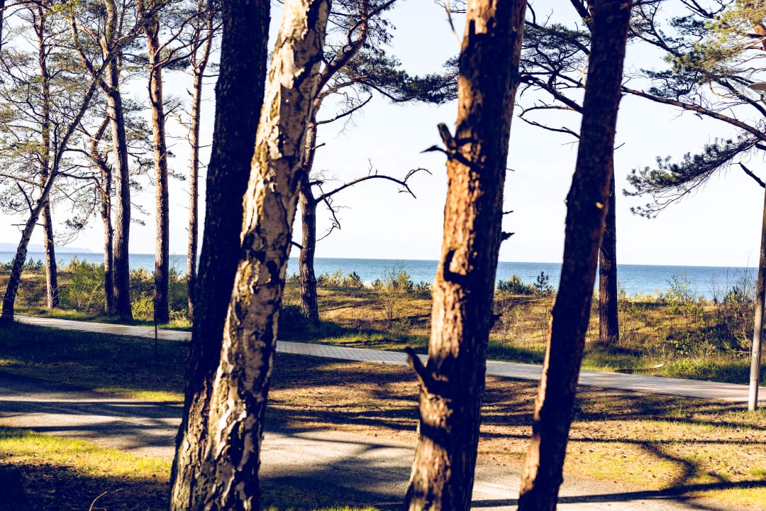 Ausblick Regenbogen Ferienanlage Göhren