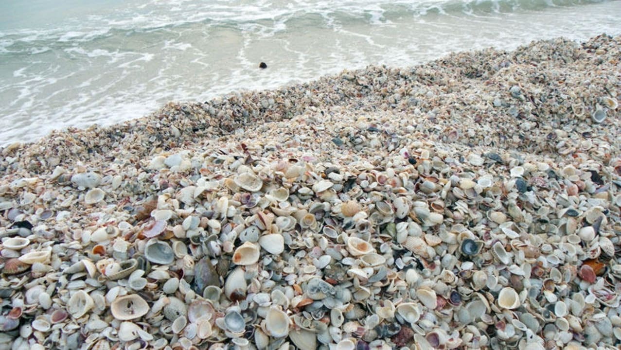 Hotelstrand Hotel West Wind Inn