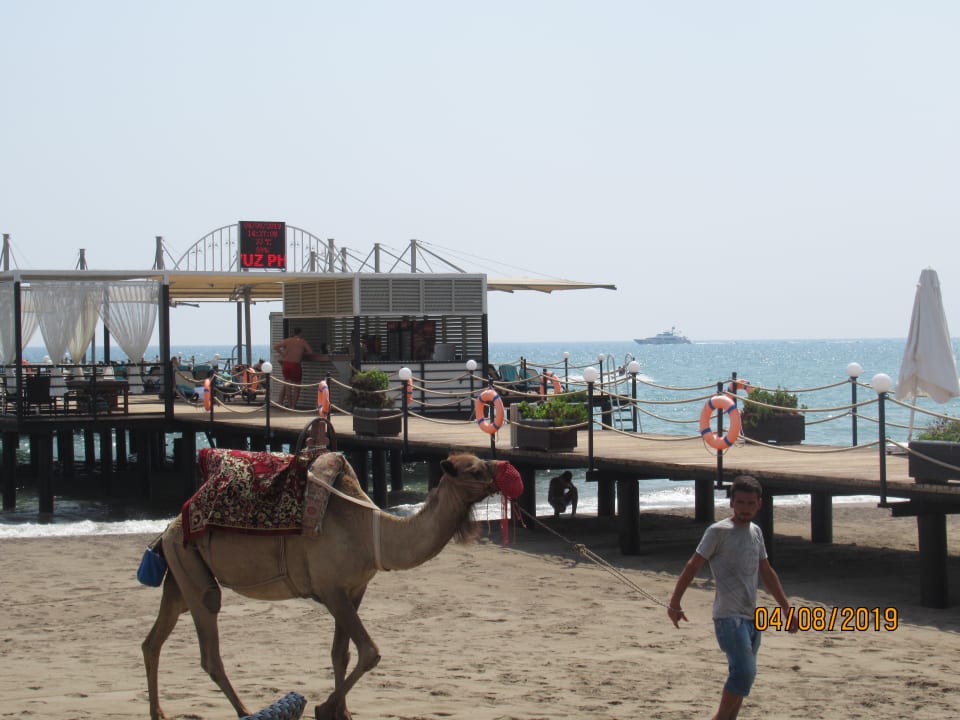 Strand Susesi Luxury Resort