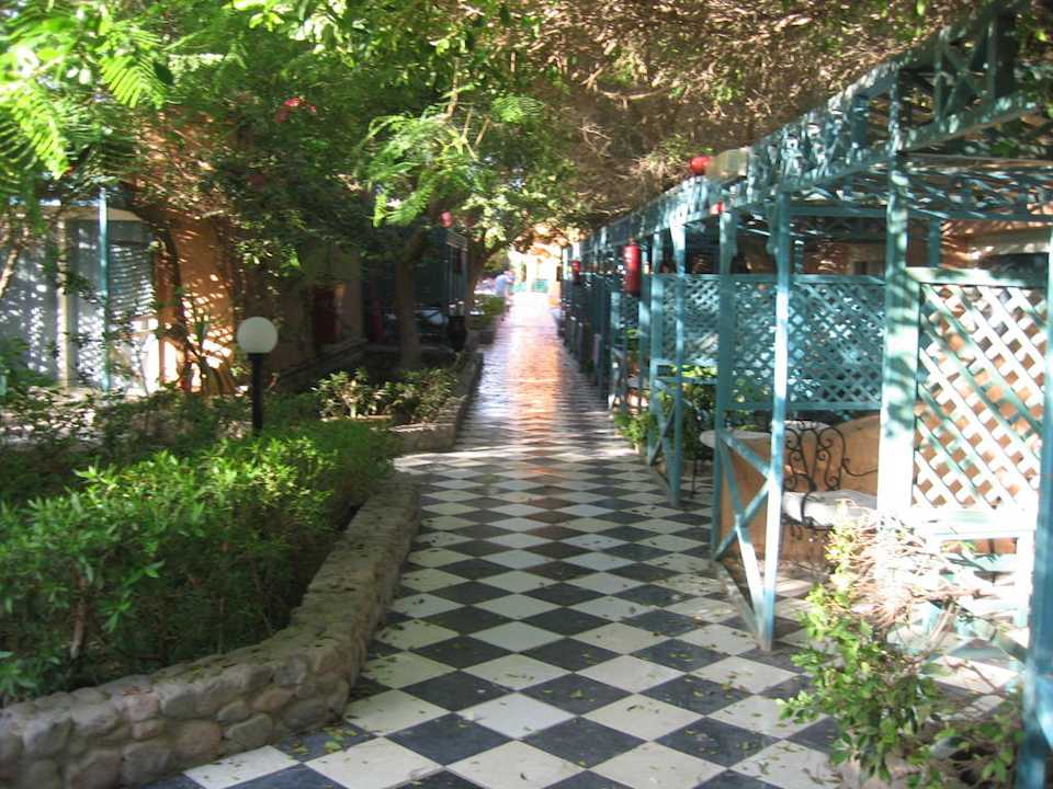 Gartenanlage Giftun Azur Resort