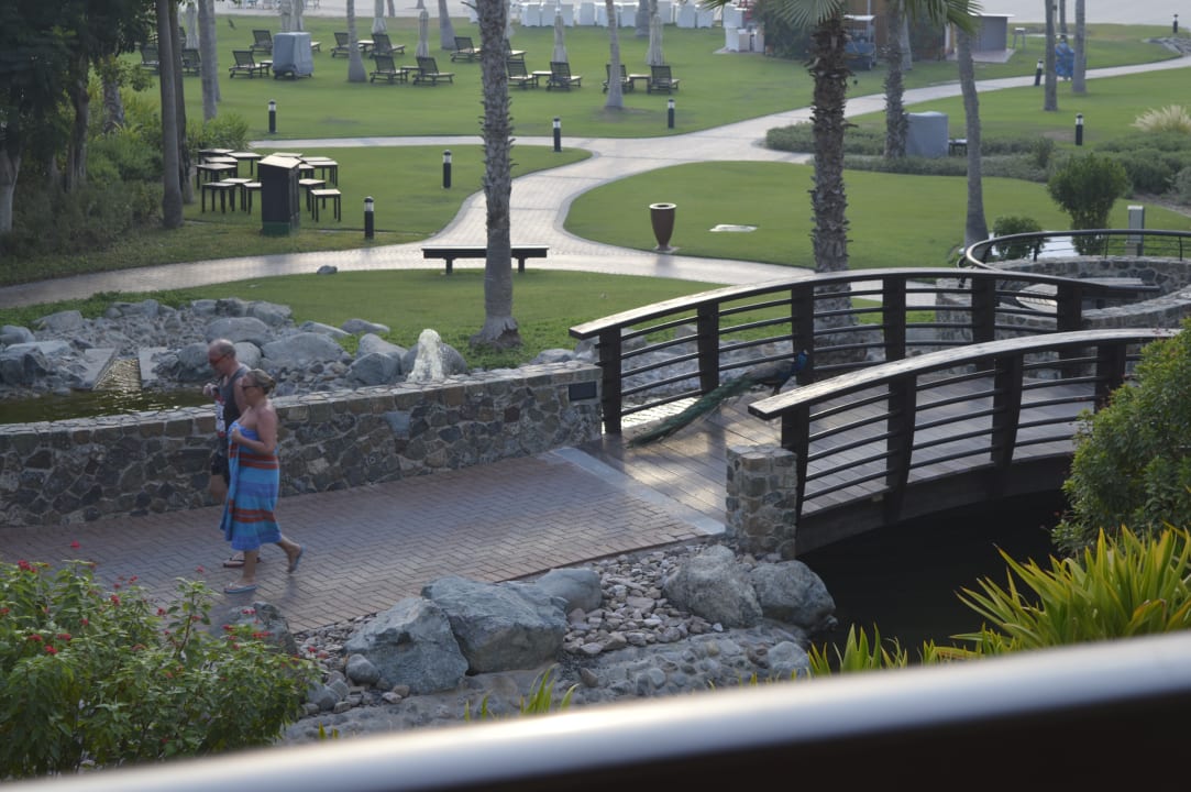 Ausblick JA Palm Tree Court