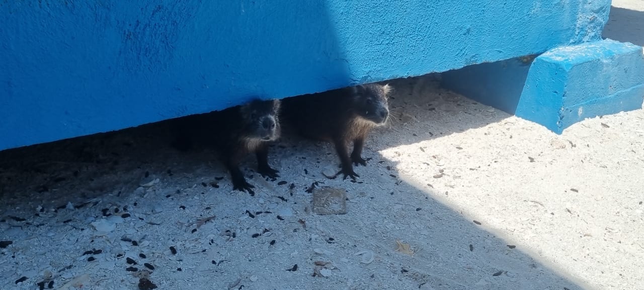 Sport & Freizeit Paradisus Varadero Resort & Spa