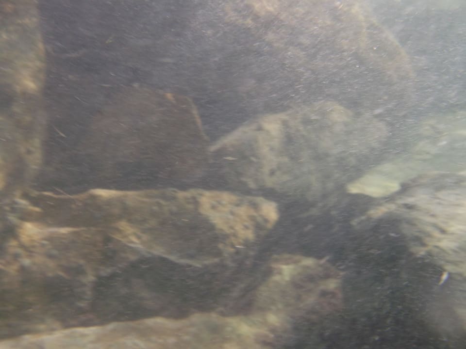 Gibt auch etwas zu sehen Club Palm Azur