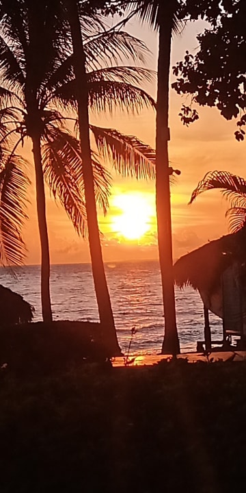 Ausblick Hotel Viva Dominicus Beach by Wyndham - All Inclusive Resort