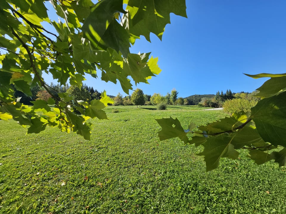 Ausblick Aldiana Club Ampflwang
