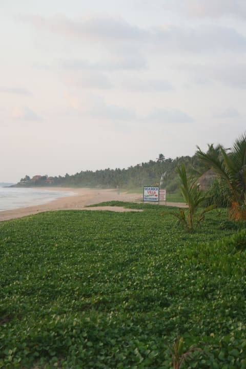Panchi Beach Hotel Panchi Beach