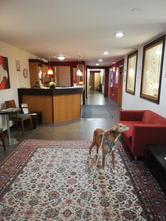 Lobby Hotel Thüringenschanze