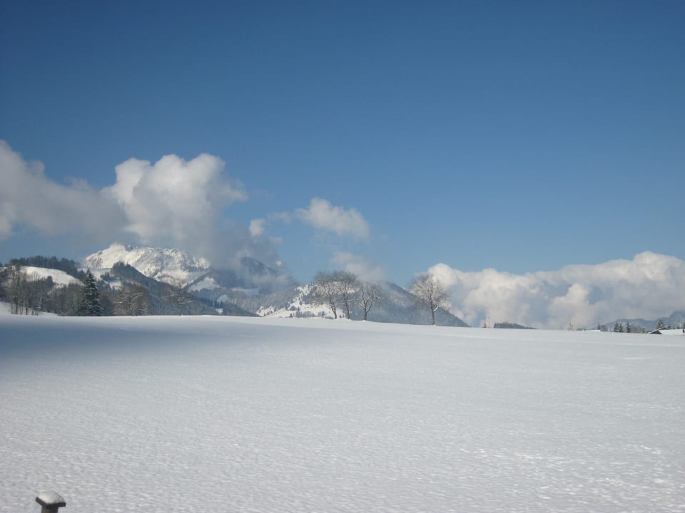 Ausblick Bio-Bauernhof Oberhochstätt