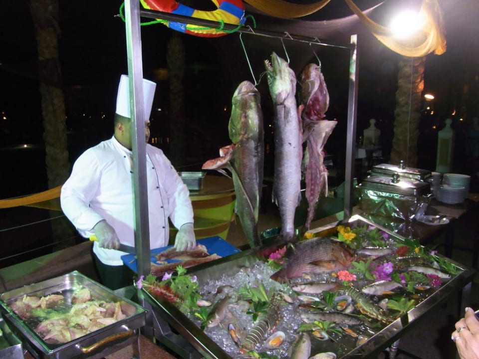Fischbuffet Pickalbatros Palace Resort