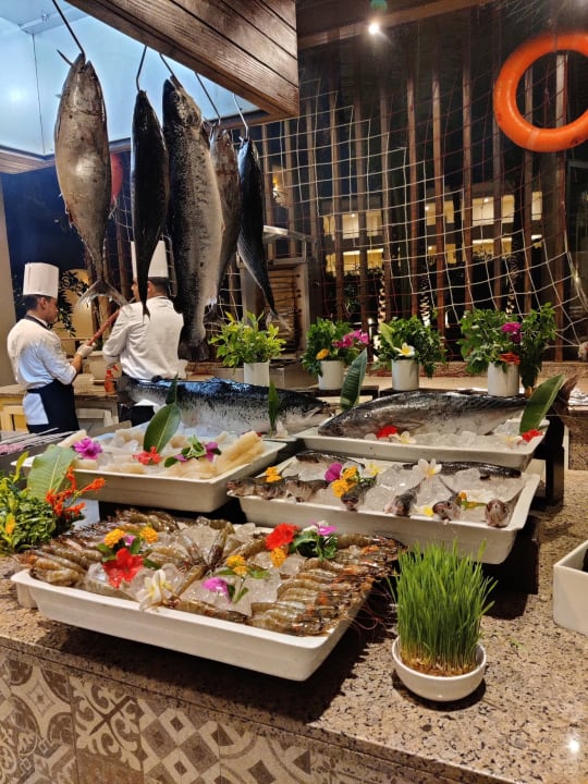 Gastro JAZ Elite Casa del Mar Beach