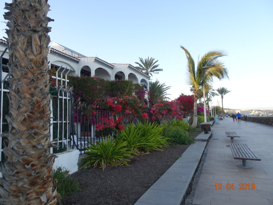Ausblick Hotel Riu Palace Palmeras