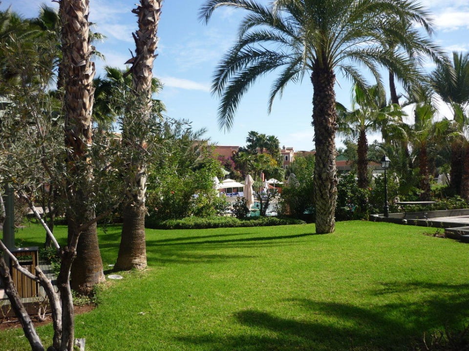 Rund um den Pool Palmeraie Palace