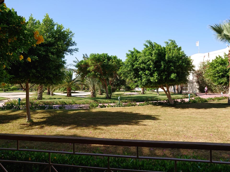 Gartenanlage Desert Rose