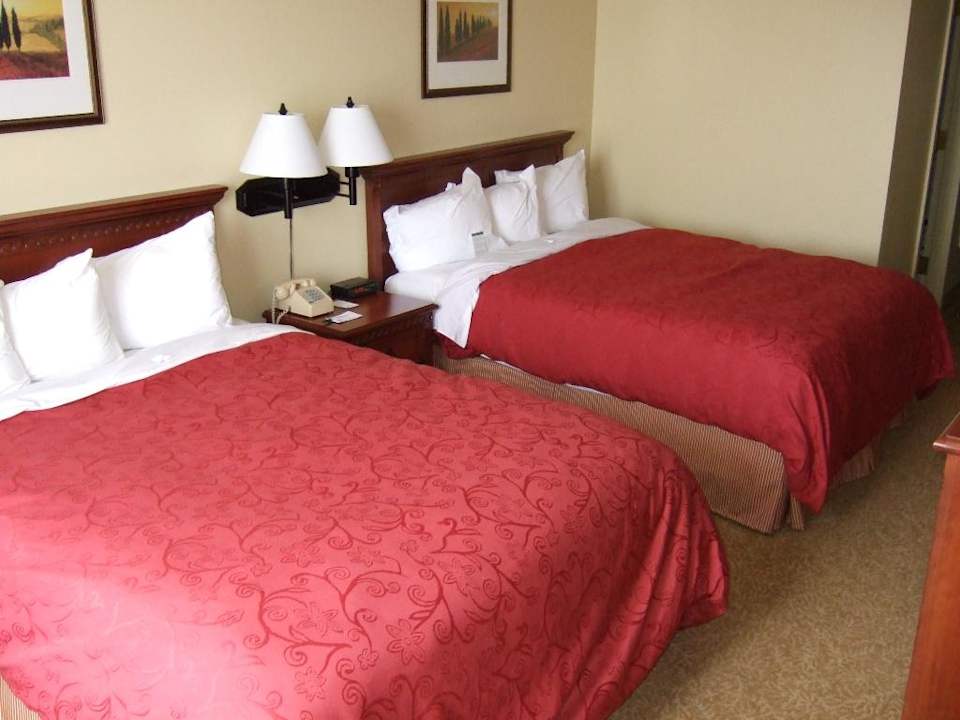 Bett Holiday Inn Express & Suites Wyomissing