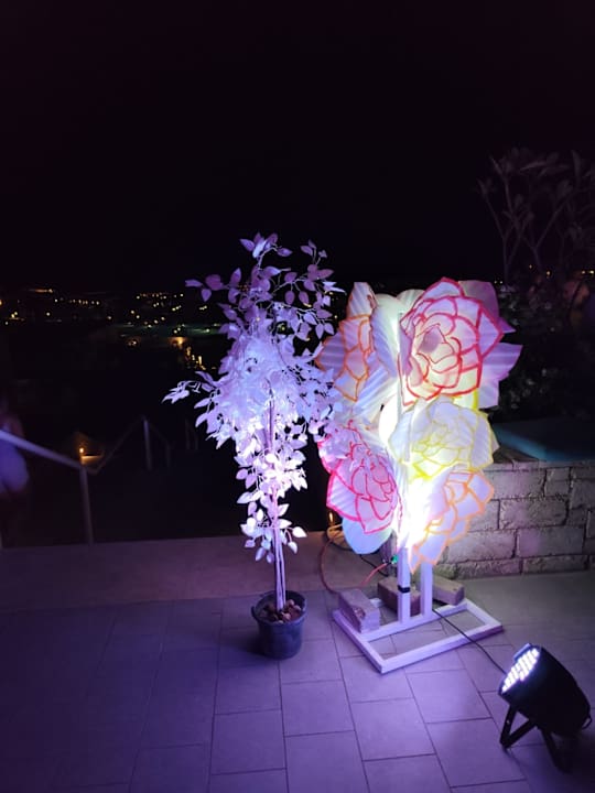 Sonstiges Sentido Reef Oasis Suakin